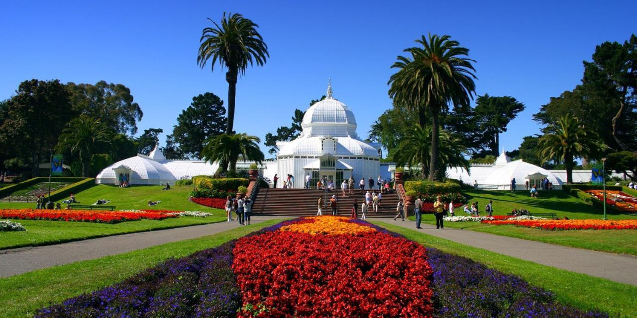 סן פרנסיסקו Golden Gate Park Suite מראה חיצוני תמונה